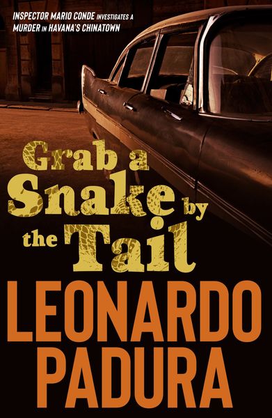 Titelbild zum Buch: Grab a Snake by the Tail